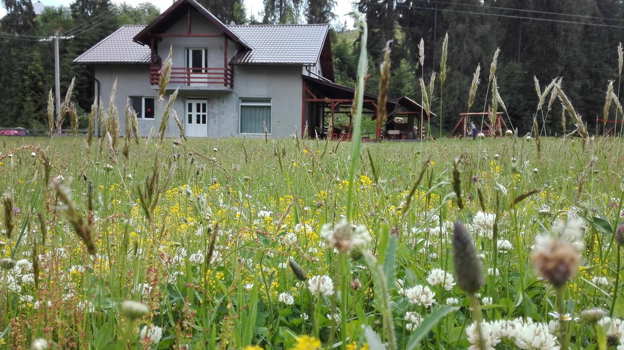 Cabana Georgiana Арьешени Экстерьер фото